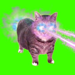 Мұқаба XertXetin - OIIA OIIA COSMIC CAT (Slowed)