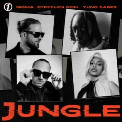 Мұқаба Sigma & Stefflon Don & Yung Saber - Jungle