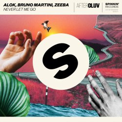 Мұқаба Alok, Bruno Martini, Zeeba - Never Let Me Go (Extended Mix)