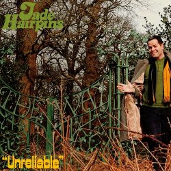Мұқаба Jade Hairpins - Unreliable