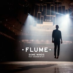 Мұқаба Flume - Some Minds (Feat. Andrew Wyatt)