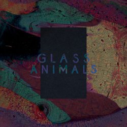 Мұқаба Glass Animals - Black Mambo