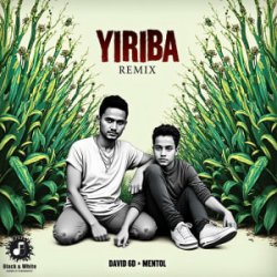 Мұқаба David 6D & Mentol - Yiriba (Remix)