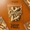 Мұқаба Sean Paul - Ginger Sean Paul - Ginger