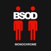 Мұқаба BSOD - Monochrome BSOD - Monochrome
