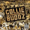 Мұқаба Collie Buddz - Blind To You (Haters) Collie Buddz - Blind To You (Haters)