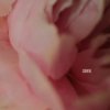 Мұқаба Lewis Capaldi - Survive Lewis Capaldi - Survive
