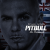 Мұқаба Pitbull - Alright Intro Pitbull - Alright Intro