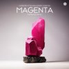Мұқаба Giuseppe Ottaviani & Ferry Corsten - Magenta (Fisherman Remix) Giuseppe Ottaviani & Ferry Corsten - Magenta (Fisherman Remix)