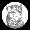 Мұқаба Tensnake - Need Your Lovin Tensnake - Need Your Lovin