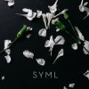 Мұқаба SYML - Meant to Stay Hid SYML - Meant to Stay Hid