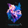 Мұқаба Evaride & Sam Tinnesz - Underdogs Evaride & Sam Tinnesz - Underdogs