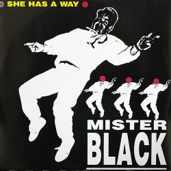 Мұқаба Mr Black - She Has A Way (Boom Boom Mix)