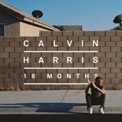 Мұқаба Calvin Harris & Example - We'll Be Coming Back (Dj Dark & Huge Carter Remix)