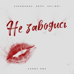Мұқаба kavabanga Depo kolibri - Не заводись (karmv rmx)
