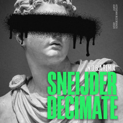 Мұқаба Sneijder x Nat Conway - Everybody's Free