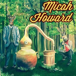 Мұқаба Micah Howard - Bird's Eye View