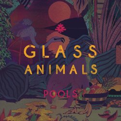 Мұқаба Glass Animals - Pools