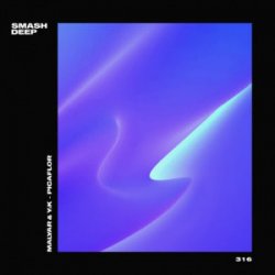 Мұқаба MalYar & Y_K - Picaflo