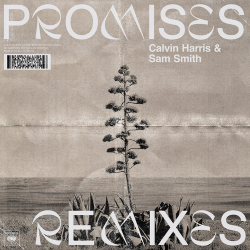 Мұқаба Calvin Harris;Sam Smith - Promises (David Guetta Remix)