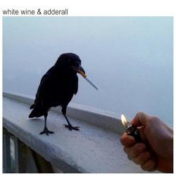 Мұқаба The Chainsmokers & Beau Nox - White Wine & Adderall
