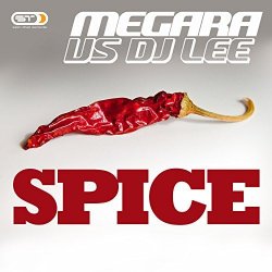 Мұқаба Megara vs. DJ Lee - Spice (Single Edit)