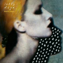 Мұқаба Sally Dige - Hard To Please