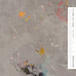 Мұқаба RÜFÜS DU SOL - In the Moment (Adriatique Remix)