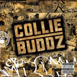 Мұқаба Collie Buddz - Blind To You (Haters)