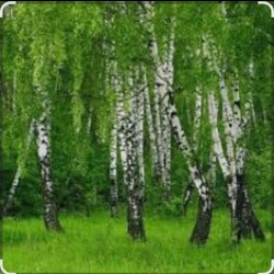 Мұқаба Дмитрий Романов & Инна Улановская - Родные края