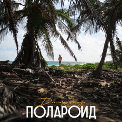 Мұқаба Dima Sneg - Полароид (Remix)