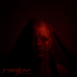 Мұқаба Dear Tash - It's A Riot