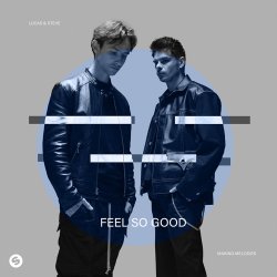 Мұқаба Lucas & Steve - Feel So Good