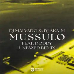 Мұқаба DJ Malvado & DJ Aka-m & Doddy - Mussulo (unfazed Remix)