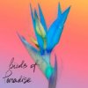 Мұқаба From:Ksusha & Yongue - Birds Of Paradise From:Ksusha & Yongue - Birds Of Paradise