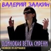 Мұқаба Валерий Залкин - Одинокая ветка сирени Валерий Залкин - Одинокая ветка сирени