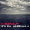 Cover N_Bespalov - Silence N_Bespalov - Silence