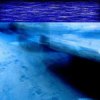 Мұқаба Honeyfrequency feat. Mechabrain - IMMINENT MORNING Honeyfrequency feat. Mechabrain - IMMINENT MORNING