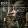 Мұқаба Pulser - My Religion Pulser - My Religion