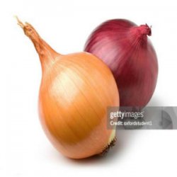 Мұқаба internetcafe247 - funny onion song