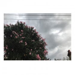 Мұқаба Ceres feat. Japanese Wallpaper - Stretch Ur Skin