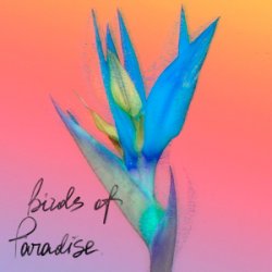 Мұқаба From:Ksusha & Yongue - Birds Of Paradise