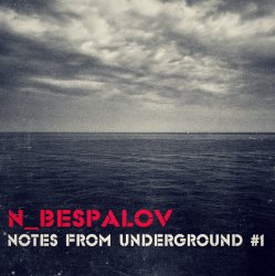 Мұқаба N_Bespalov - Silence