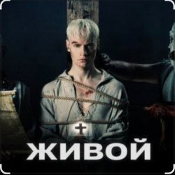 Мұқаба Shaman - Живой