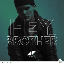 Мұқаба Avicii - Hey Brother (Syn Cole Remix)