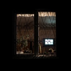 Мұқаба Honeyfrequency - Курьер
