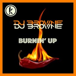 Мұқаба DJ Brownie - Burnin Up