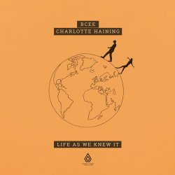 Мұқаба Bcee, Charlotte Haining - History (Technimatic Remix)