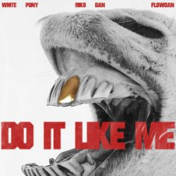 Мұқаба White Pony & Riko Dan & Flowdan - Do It LIke Me (VIP)