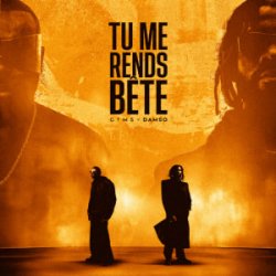 Мұқаба GIMS & Damso - TU ME RENDS BÊTE